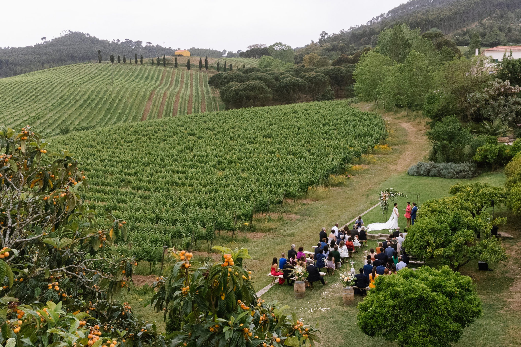 Wedding ceremony among the vineyards of Quinta de Sant'Ana, seen from above