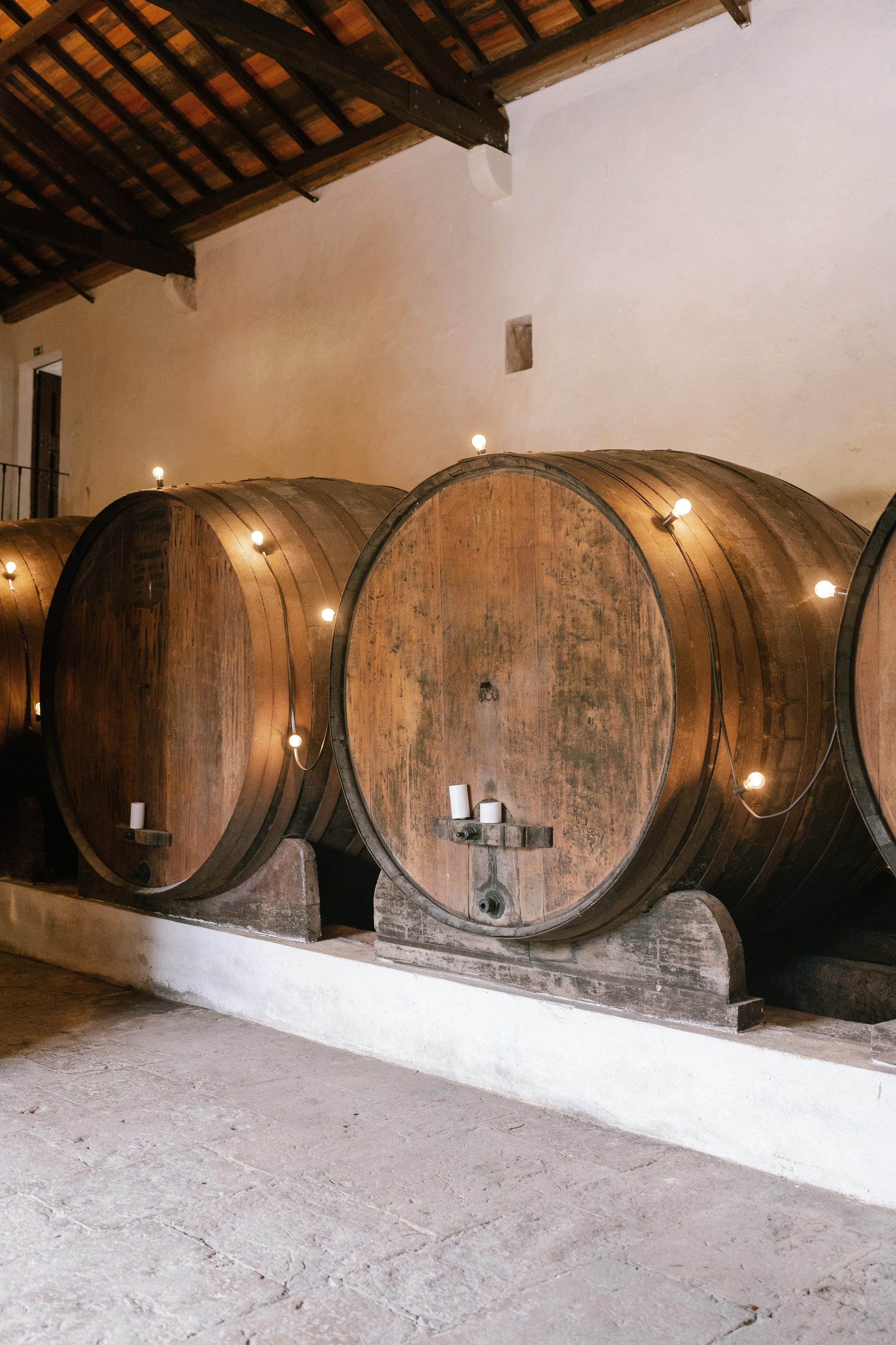 Large wooden wine barrels lined up in a dimly lit wine cellar, decorated with small lights and candles Large wooden wine barrels lined up in a dimly lit wine cellar, decorated with small lights and candles